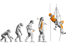 Evolution : singes