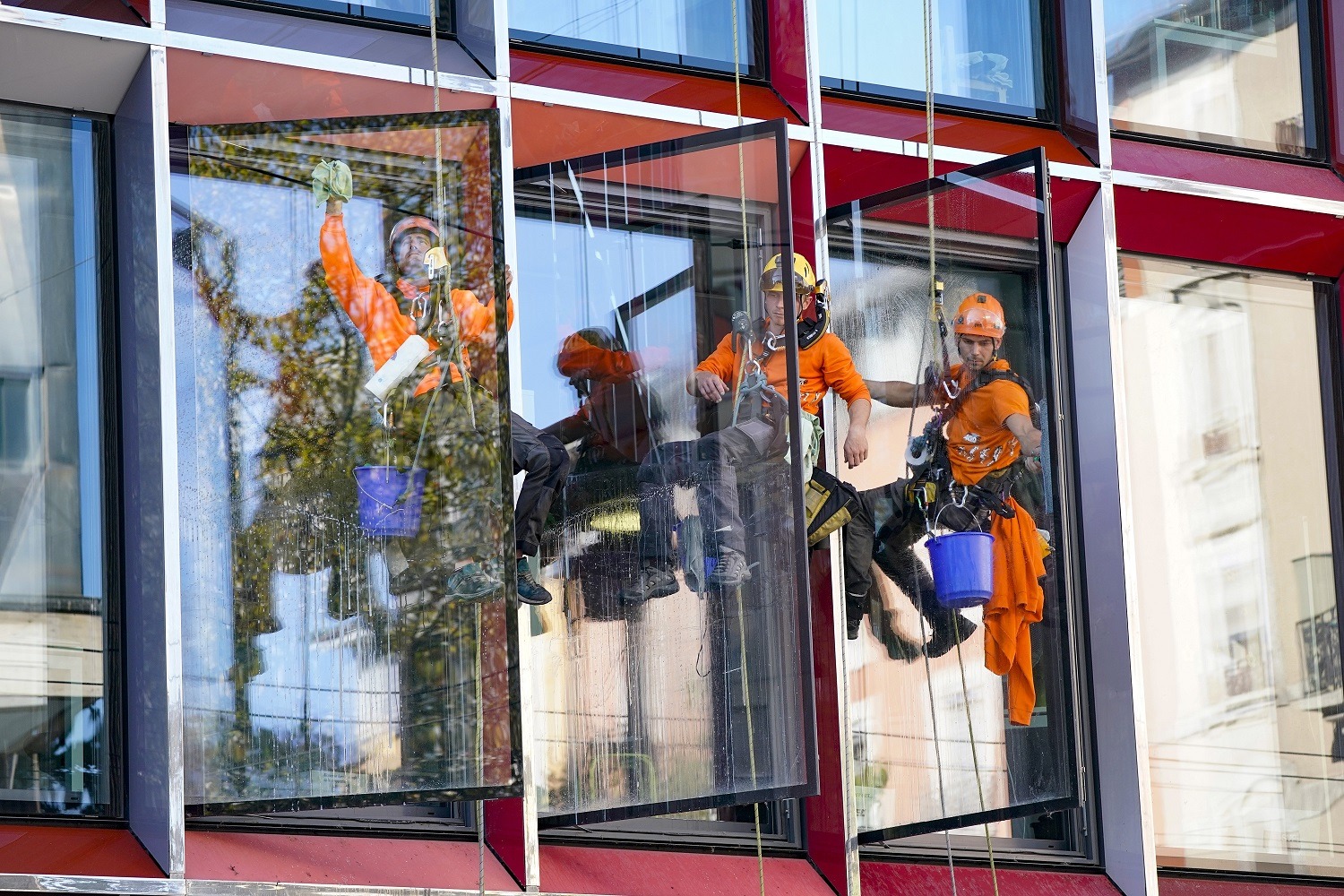 Cordistes pour nettoyage de vitres en hauteur à Lille